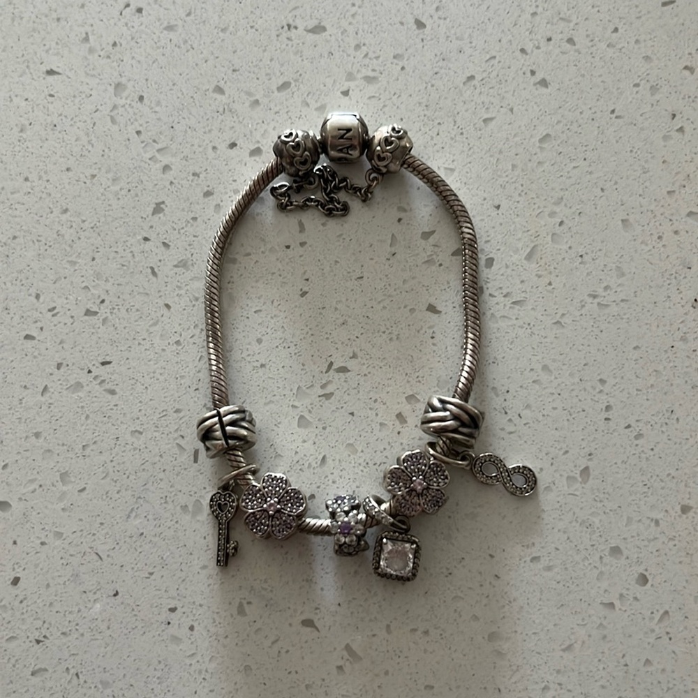 Pandora Charm Bracelet